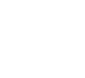 Leonardo